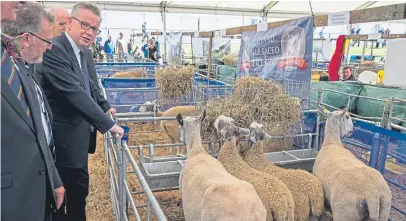  ?? Picture: Wullie Marr Photograph­y. ?? Mr Gove refused to be drawn on a review of convergenc­e funding during a visit to the Royal Highland Show.