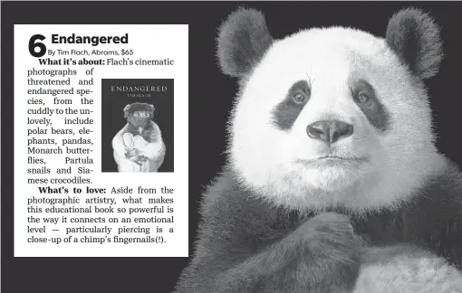  ??  ?? Panda, from ‘ Endangered.’ TIM FLACH