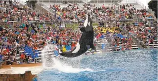  ?? NELVIN C. CEPEDA U-T FILE ?? Seaworld said it will fund the total settlement with $45.5 million in insurance proceeds, plus $19.5 million in company cash.