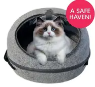  ?? ?? A SAFE HAVEN!