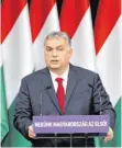  ?? FOTO: DPA ?? Der ungarische Ministerpr­äsident Viktor Orbán.