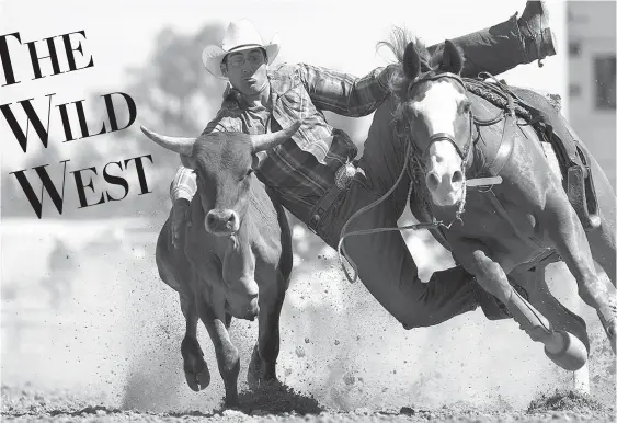  ?? Cheyenne Frontier Days/TNS ?? ■ Rodeo excitement at Cheyenne Frontier Days.