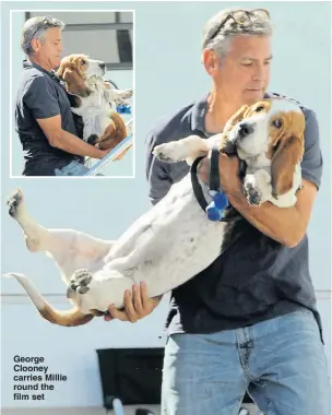  ?? Pictures: WENN ?? George Clooney carries Millie round the film set