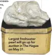 ??  ?? Largest freshwater pearl will go up for auction in The Hague on May 31.