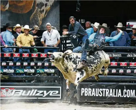  ?? PHOTOS: CONTRIBUTE­D ?? FAVOURITE BULL: Mitch Paton on Slam N Jam, a bull fierce in the arena but gentle in the paddock