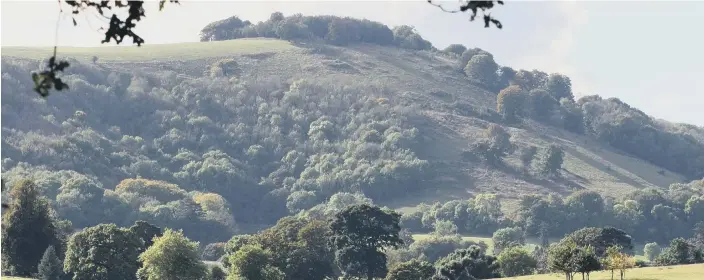 ?? PICTURE: DEREK MARTIN ?? Chanctonbu­ry Ring was just one of the South Downs National Park’s features to be mentioned byAndrew Griffith in Parliament