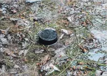  ?? AARON VINCENT ELKAIM NEW YORK TIMES ?? A hockey puck next to the Parobek family’s homemade backyard ice rink, now melting. Will Canadians continue to put in the effort for just a few weeks of good ice?