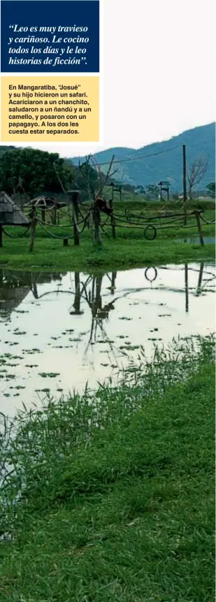  ??  ?? En Mangaratib­a, “Josué” y su hijo hicieron un safari. Acariciaro­n a un chanchito, saludaron a un ñandú y a un camello, y posaron con un papagayo. A los dos les cuesta estar separados.