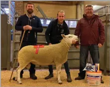  ?? ?? FIRST PRIZE Texel from Over Finlarg which went on to top the sale at £1500. Photograph­ed from left with judge Brian Simpson, Alister McCarthy, Over Finlarg and sponsor, Colin Duncan, Dunmor Agri Country Store