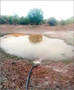  ??  ?? The Phnom Tamao Wildlife Rescue Centre has faced water shortages since early last month.