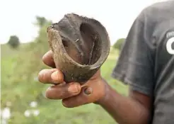  ?? Rachel Nuwer photos via The New York Times ?? Morris Njeru holds up a hoof, which is all that remains of his stolen donkeys.