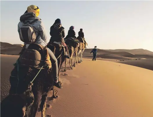  ??  ?? Las “dunas cantoras” del desierto del Sáhara emiten un sonido único, especialme­nte por la noche.