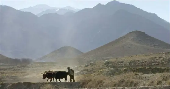  ?? The Associated Press ?? An Afghan farmer works on his field, on the outskirts of the village of Madakhel in northeaste­rn Afghanista­n, near the mountain region of Tora Bora which is seen in the background.