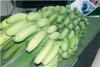  ?? FOTO ARCHIVO DL ?? El banano orgánico dominicano está certificad­o.