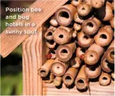  ??  ?? Position bee and bug hotels in a sunny spot