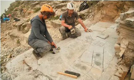  ?? RED TRILLIUM FILMS HANDOUT PHOTO BY ANDREW GREGG VIA CP ?? Professors Jean-Bernard Caron and Maydianne Andrade discuss newly-revealed fossils in this handout image.