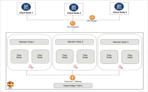  ??  ?? Figure 4: Blockchain Hyperledge­r architectu­re in AWS