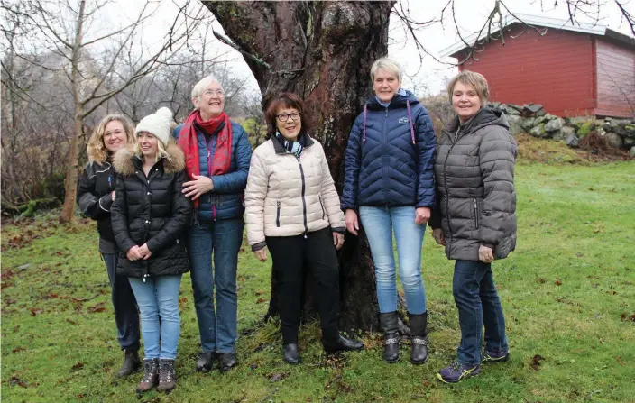  ?? Bild: LISA HENRICSON ?? Fotografen Alexandra Lindgren och Kalenderfl­ickorna Maja Olausson, Eivor Jansson, Kristina Wikberg, Inger Strömberg och Marie-Louise Johansson.