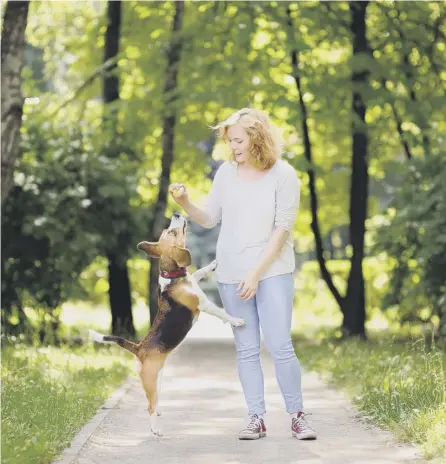  ?? PICTURE: GETTY IMAGES/ ?? 0 Robust laws on canine behaviour are needed, but common sense is applied north of the Border