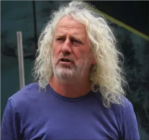  ??  ?? Wexford TD Mick Wallace.