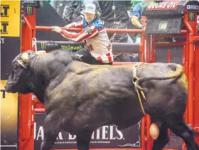  ?? ROBERTO E. ROSALES/JOURNAL ?? Seth “Shorty” Gorham climbs a railing to avoid a bull that had just bucked off a rider on the opening night of the Ty Murray Invitation­al at Dreamstyle Arena — the Pit.