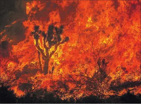  ?? Irfan Khan Los Angeles Times ?? FLAMES ROAR through vegetation in the Antelope Valley foothills Friday. The Bobcat fire has burned 103,000 acres, destroying homes.