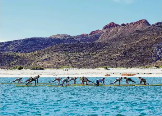  ?? Jeff Litton photos / Lindblad Expedition­s ?? Passengers practice yoga on stand-up paddleboar­ds after ferrying from the west side of Isla Espíritu Santo to Bahia Bonanza, one of the island’s largest beaches.