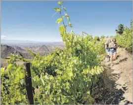  ?? Brian van der Brug Los Angeles Times ?? MALIBU WINE HIKES run through two miles of Saddlerock Ranch vineyards.