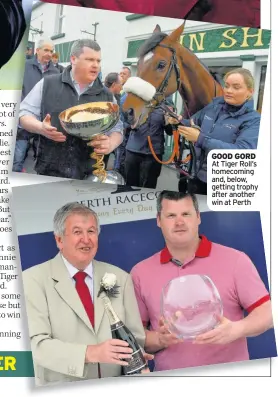  ??  ?? GOOD GORD At Tiger Roll’s homecoming and, below, getting trophy after another win at Perth