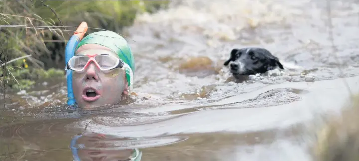  ?? AARON CHOWN ?? Angela Johnson and her dog Jack take part in the 32nd World Bog Snorkellin­g Championsh­ips at Waen Rhydd peat bog in Llanwrtyd Wells