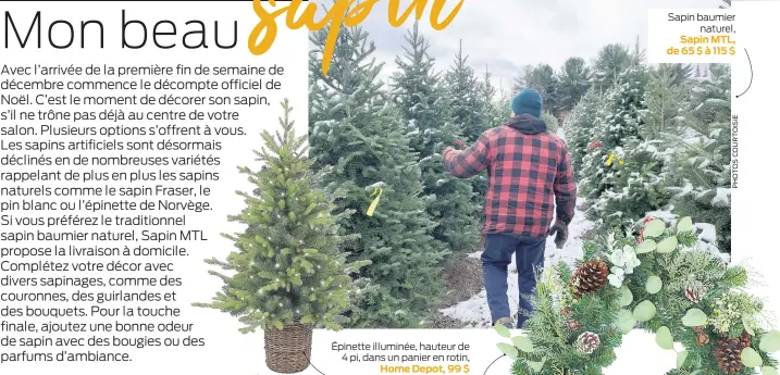  ??  ?? Épinette illuminée, hauteur de 4 pi, dans un panier en rotin,
Home Depot, 99 $
Sapin baumier naturel, Sapin MTL, de65$à115$