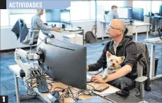  ?? EL PAÍS ?? 1 1. Decisión. Cada vez más empresas adoptan la política de permitir que se lleven perros al trabajo.