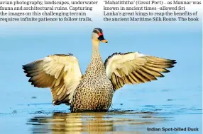  ??  ?? Indian Spot-billed Duck