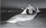  ?? Provided by Michael Hengel ?? Michael Hengel poses with a bull shark that he caught while land-fishing in Miami Beach on Sunday.