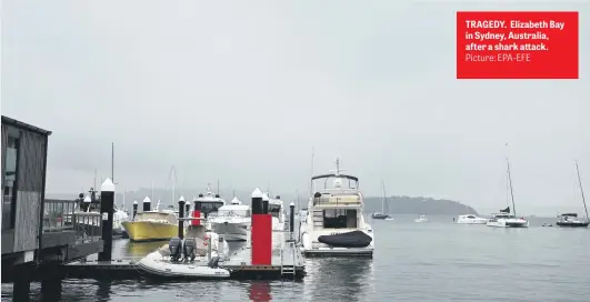  ?? Picture: EPA-EFE ?? TRAGEDY. Elizabeth Bay in Sydney, Australia, after a shark attack.