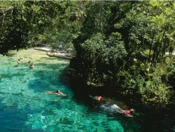  ?? EDUARDO VERDUGO/AP ?? Tourists swim in a cenote, a natural deep-water well, in Playa del Carmen, one of the proposed stops along the Maya Train project in Mexico’s Quintana Roo state.