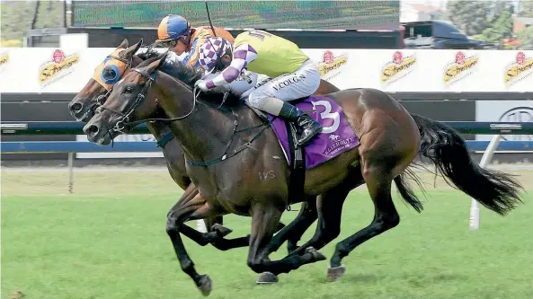  ??  ?? Surely Sacred and rider Vinnie Colgan edge out In A Twinkling in the Avondale Guineas yesterday.