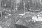  ?? JOHN KOSTRZEWA ?? Four large cement blocks served as anchors for the T-bar lift that dropped skiers near the summit of Escoheag
Hill at the old Pine Top ski area in West Greenwich.