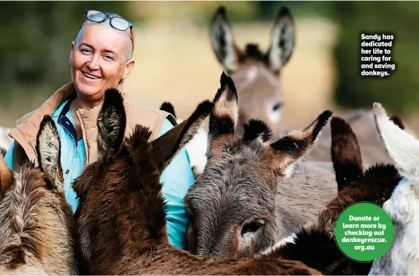  ??  ?? Sandy has dedicated her life to caring for and saving donkeys.
Donate or learn more by checking out donkeyresc­ue. org.au