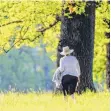  ?? FOTO: A. HETTRICH/IMAGO IMAGES ?? Günstig und gesund: Spaziergän­ge in der Natur.