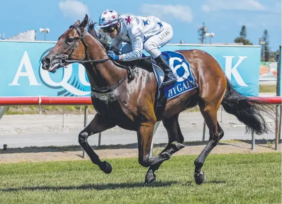  ?? Picture: JERAD WILLIAMS ?? Victorian filly Sunlight scores a stunning win at the Gold Coast last start.