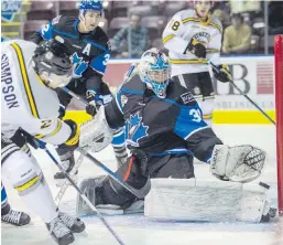  ?? DARREN STONE, TIMES COLONIST ?? Grizzlies Cam Thompson cuts in close on Penticton Vees goaltender Derek Krall in BCJHL action at The Q Centre on Saturday.