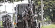  ?? MARK PYNES/ TRIBUNE NEWS ?? A new proposed state law seeks to toughen the rules for Amish buggies and other horsedrawn vehicles to try to make them more visible on the road.