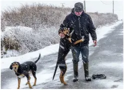 ?? Photo by Stephen Power. ?? Bobby Burton enjoying the snow with his seven-month-old sooty black hunting beagles.