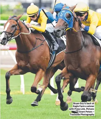  ?? ?? Bryan Guy is back at Eagle Farm a winner with Press Link. Picture: Grant Peters – Trackside Photograph­y