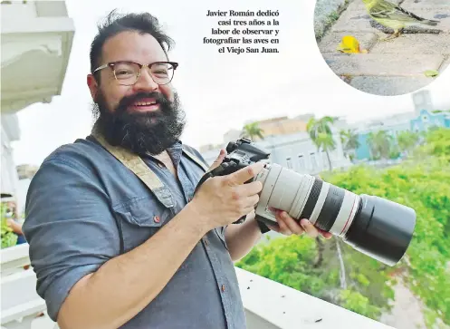  ??  ?? Javier Román dedicó casi tres años a la labor de observar y fotografia­r las aves en el Viejo San Juan.