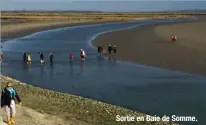  ??  ?? Sortie en Baie de Somme.