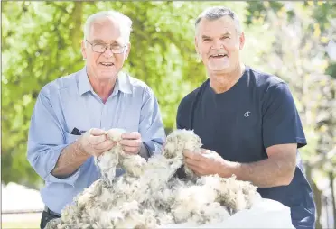  ?? ?? ELITE GROUP: Tim Sudholz, left, and Peter Sudholz have clocked up 50 years as registered wool classers. Peter Mcgenniske­n, John Ferrier, and Chris Bibby have also joined the elite group in reaching the 50-year milestone. Picture: PAUL CARRACHER