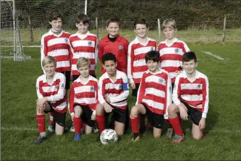  ??  ?? The Enniskerry team who defeated St Anthony’s last weekend. Photos: Barbara Flynn