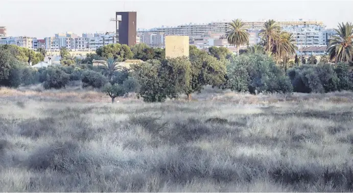  ?? Fotos: Ángel García/Anne Götzinger ?? Erst war die Huerta, dann kam das Betonmeer: Nach Reblaus und Wassermang­el bedroht der Urbanismus das ländliche Alicante.